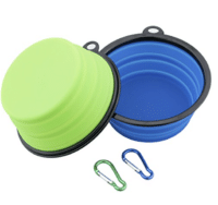 Voyager avec son chien