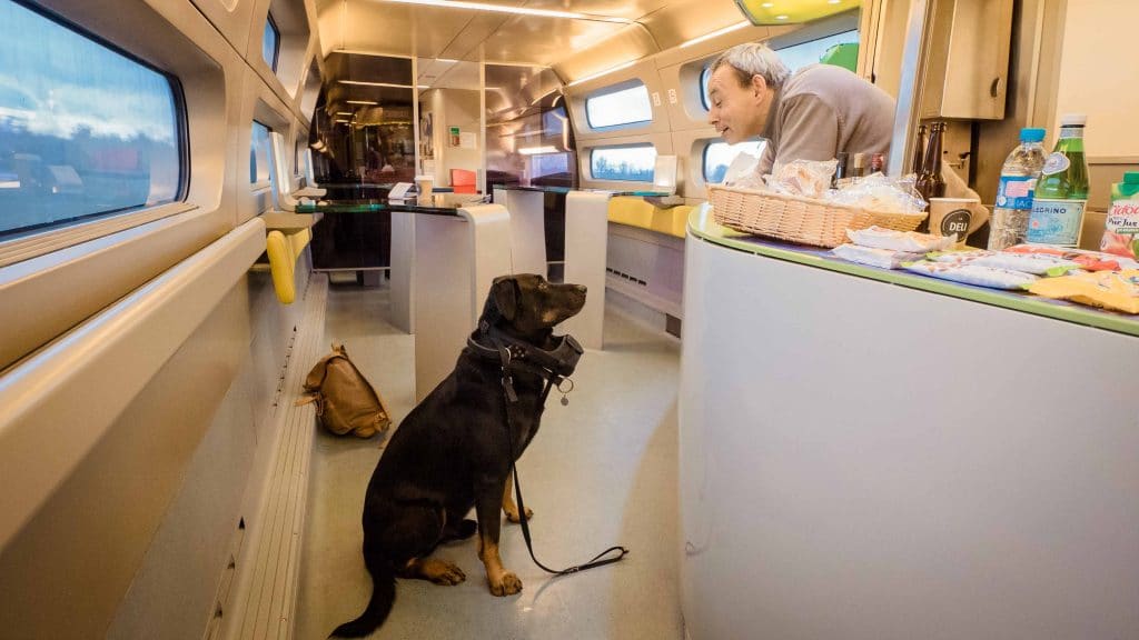 voyager train avec chien