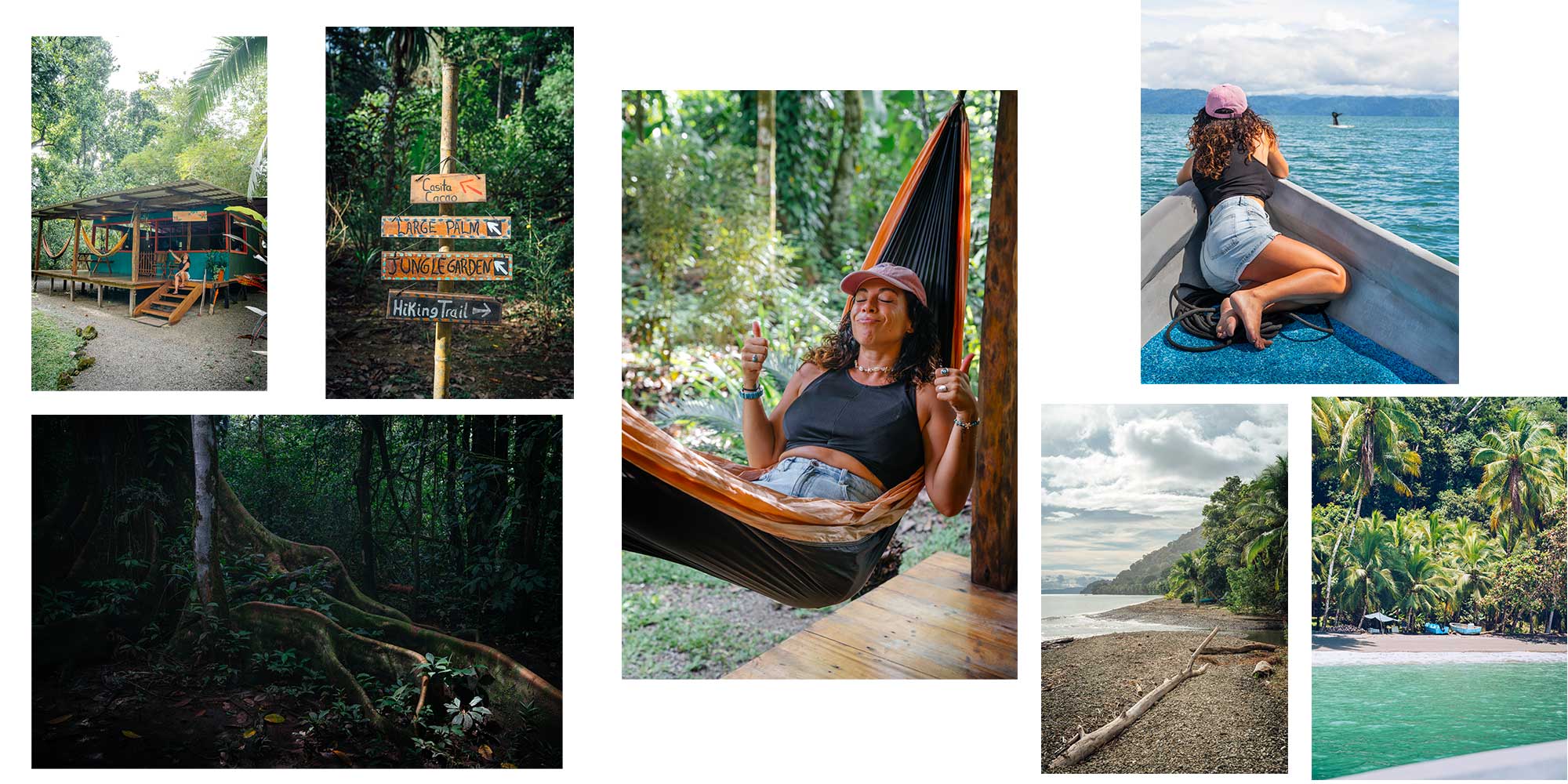 Costa Rica - Guide complet pour un voyage inoubliable avec les animaux Dolphin Quest