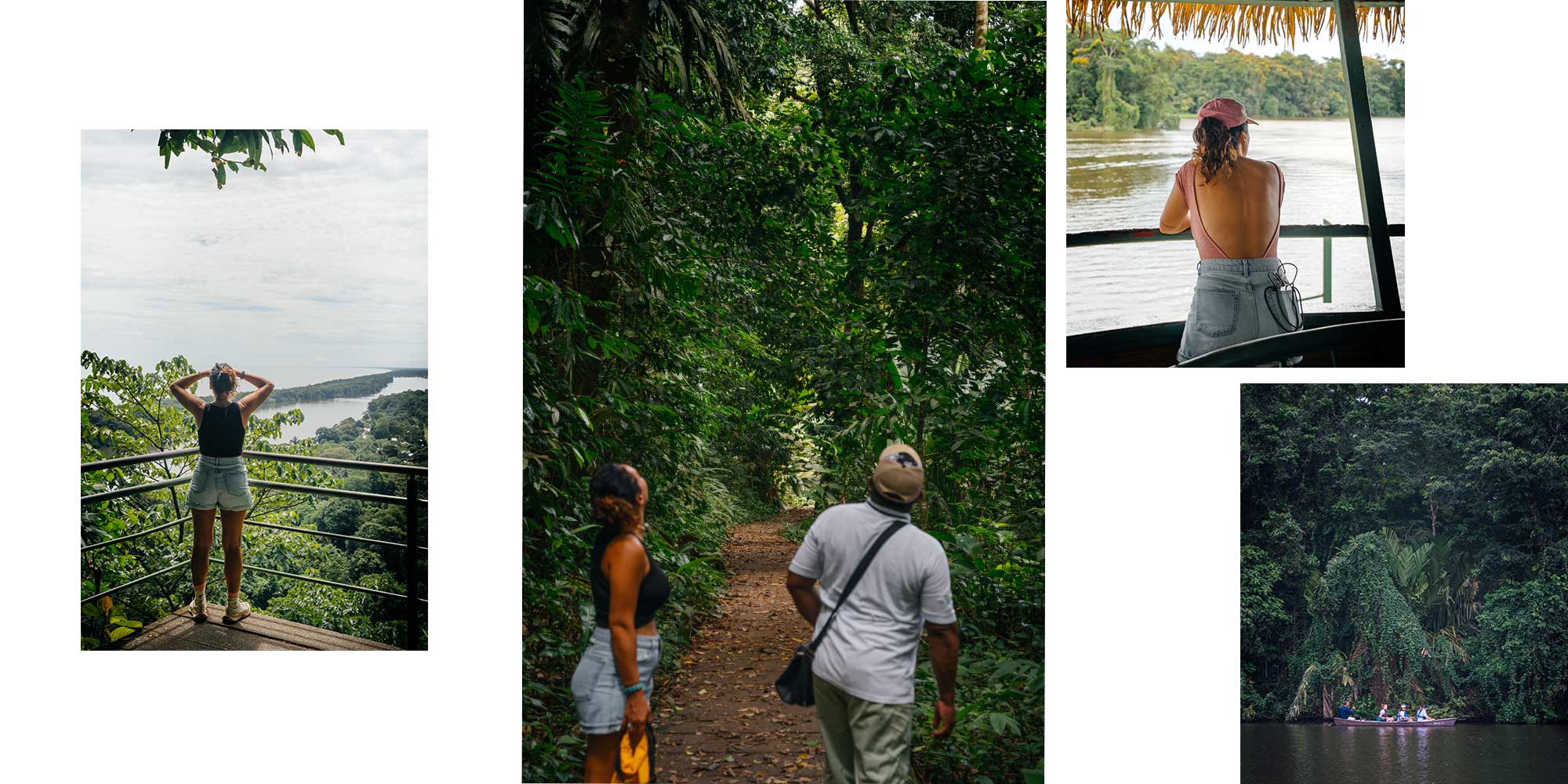 Costa Rica - Guide complet pour un voyage inoubliable avec les animaux Tortuguero