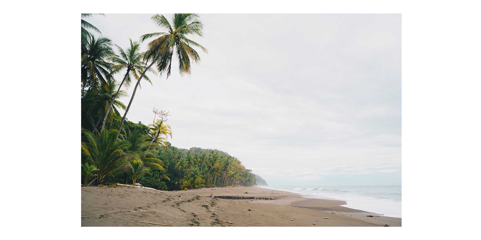 Costa-Rica---Guide-complet-pour-un-voyage-inoubliable-avec-les-animaux-penninsule-de-Osa