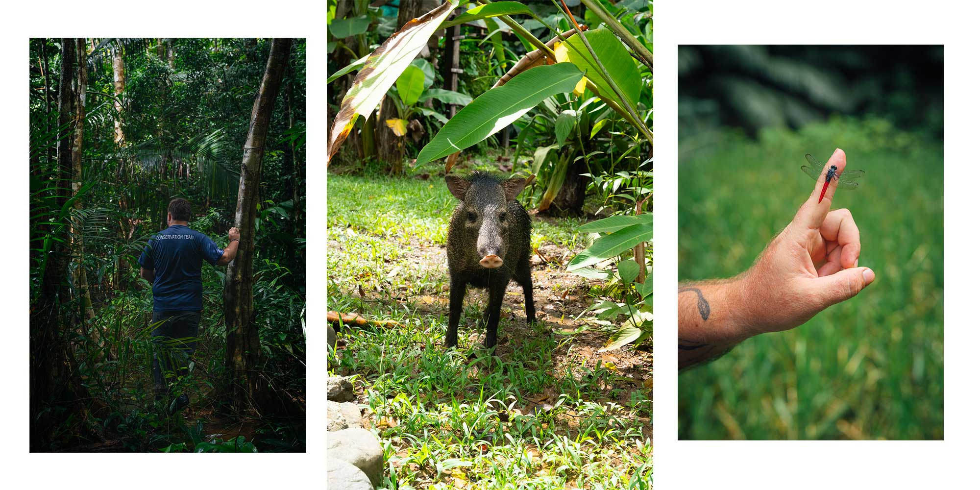 itinéraire-complet-Costa-Rica